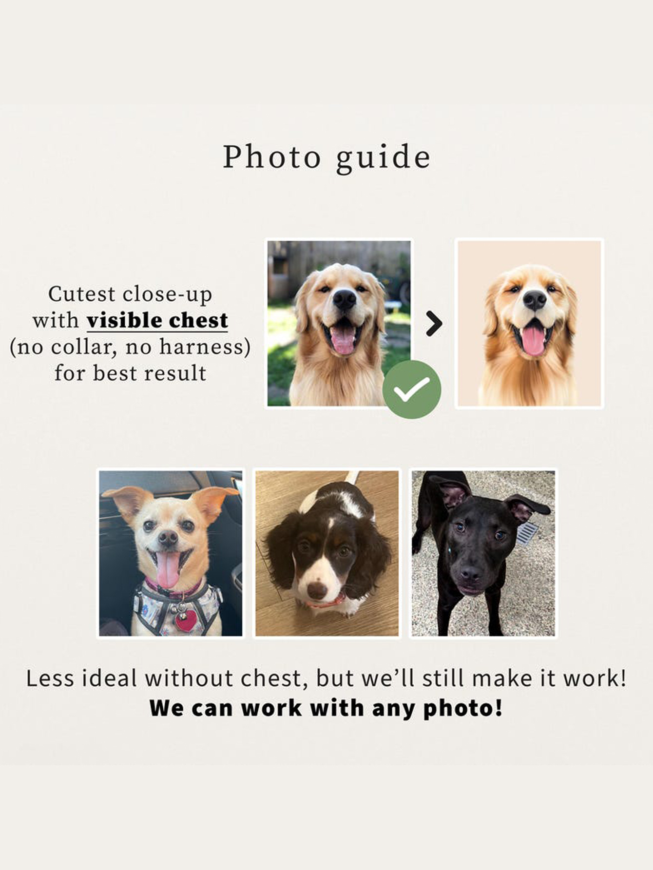 Custom Pet Blankets From Photo